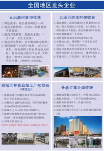 重塑餐飲體驗 史上最強4D廚房體系如何革新現代酒店管理